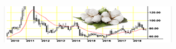 Cotton Futures